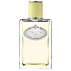 Prada Infusion De Gingembre фото духи