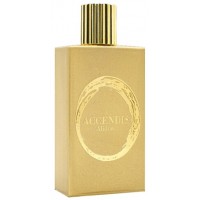 Accendis Alidoro