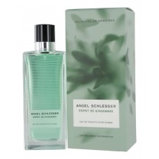 Angel Schlesser Esprit De Gingembre Men фото духи