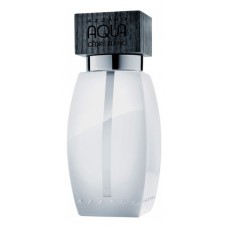 Azzaro Aqua Cedre Blanc фото духи