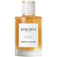 Balma Venitia White Cannabis