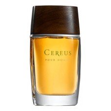 Cereus №11 Pour Homme фото духи