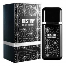 Chris Adams Destiny фото духи