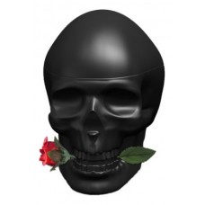 Christian Audigier Ed Hardy Skulls & Roses for Him фото духи