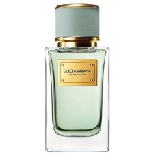 Dolce & Gabbana D&G Velvet Infusion фото духи