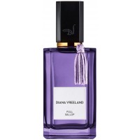 Diana Vreeland Full Gallop