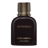 Dolce & Gabbana D&G Pour Homme Intenso