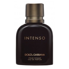 Dolce & Gabbana D&G Pour Homme Intenso фото духи