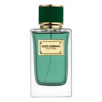 Dolce & Gabbana D&G Velvet Cypress