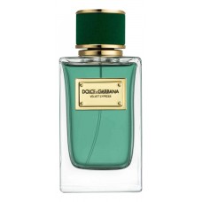 Dolce & Gabbana D&G Velvet Cypress фото духи