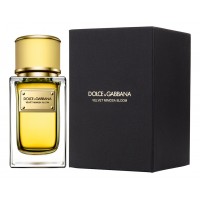 Dolce & Gabbana D&G Velvet Mimosa Bloom