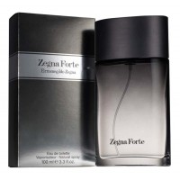 Ermenegildo Zegna Forte man