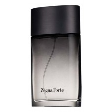 Ermenegildo Zegna Forte man фото духи