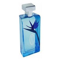Jivago Joseph  for men