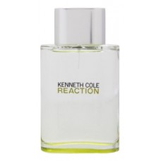 Kenneth Cole Reaction for men фото духи