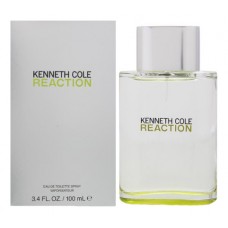 Kenneth Cole Reaction for men фото духи