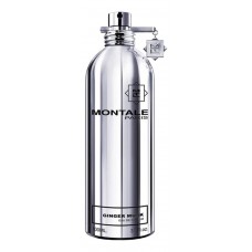 Montale Ginger Musk фото духи