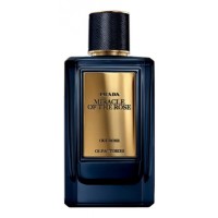 Prada Olfactories Miracle Of The Rose
