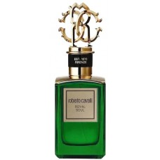 Roberto Cavalli Royal Soul фото духи