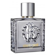 Roberto Cavalli Uomo Silver Essence фото духи