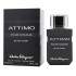 Salvatore Ferragamo Attimo Black Musk Pour Homme фото духи