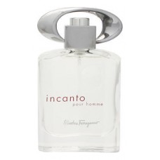 Salvatore Ferragamo Incanto pour homme фото духи