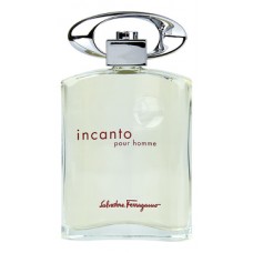 Salvatore Ferragamo Incanto pour homme фото духи