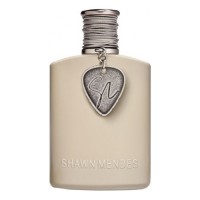 Shawn Mendes Signature II