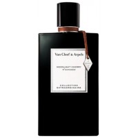 Van Cleef & Arpels Moonlight Cherry