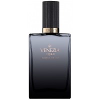 Venezia 1920 Grey Velvet