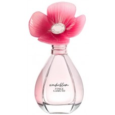 Vince Camuto Wonderbloom фото духи