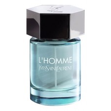 Yves Saint Laurent YSL L'Homme Summer Fragrance фото духи