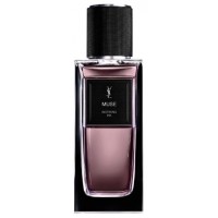 Yves Saint Laurent YSL Muse