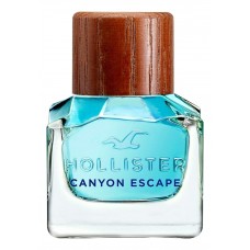 HOLLISTER Canyon Escape For Him фото духи